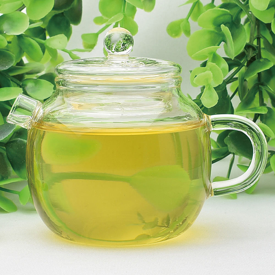 耐熱ガラスティーポット・急須｜玻璃小壺｜中国茶器の天香茶行