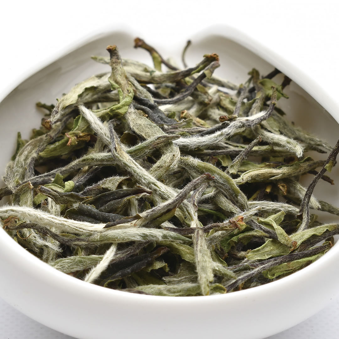 白牡丹（白茶）｜中国茶専門店・天香茶行